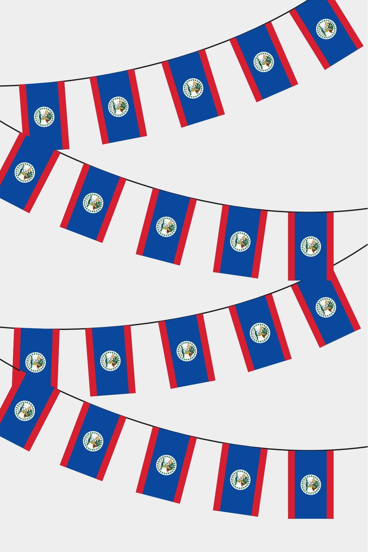 Belize Dikdörtgen Süsleme Bayrak