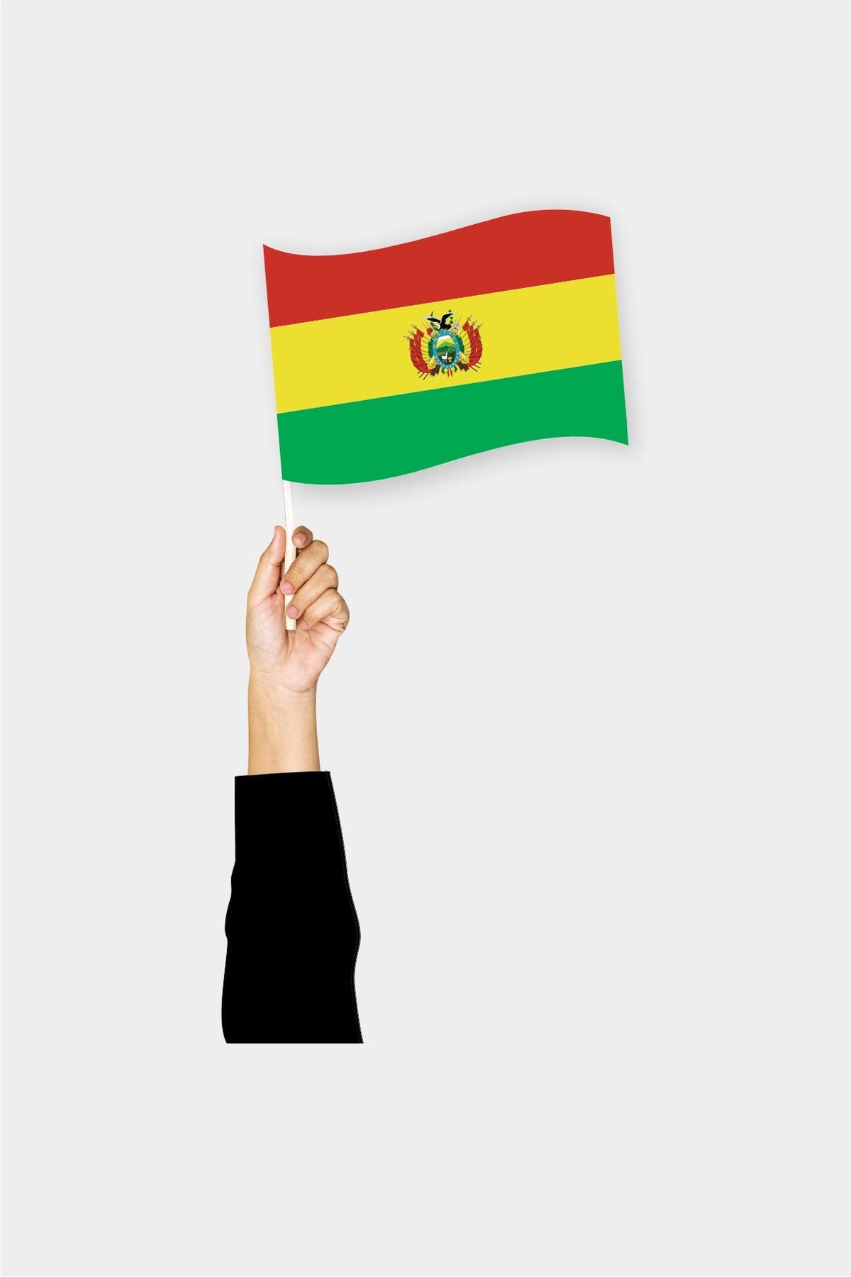 Bolivya El Bayrağı