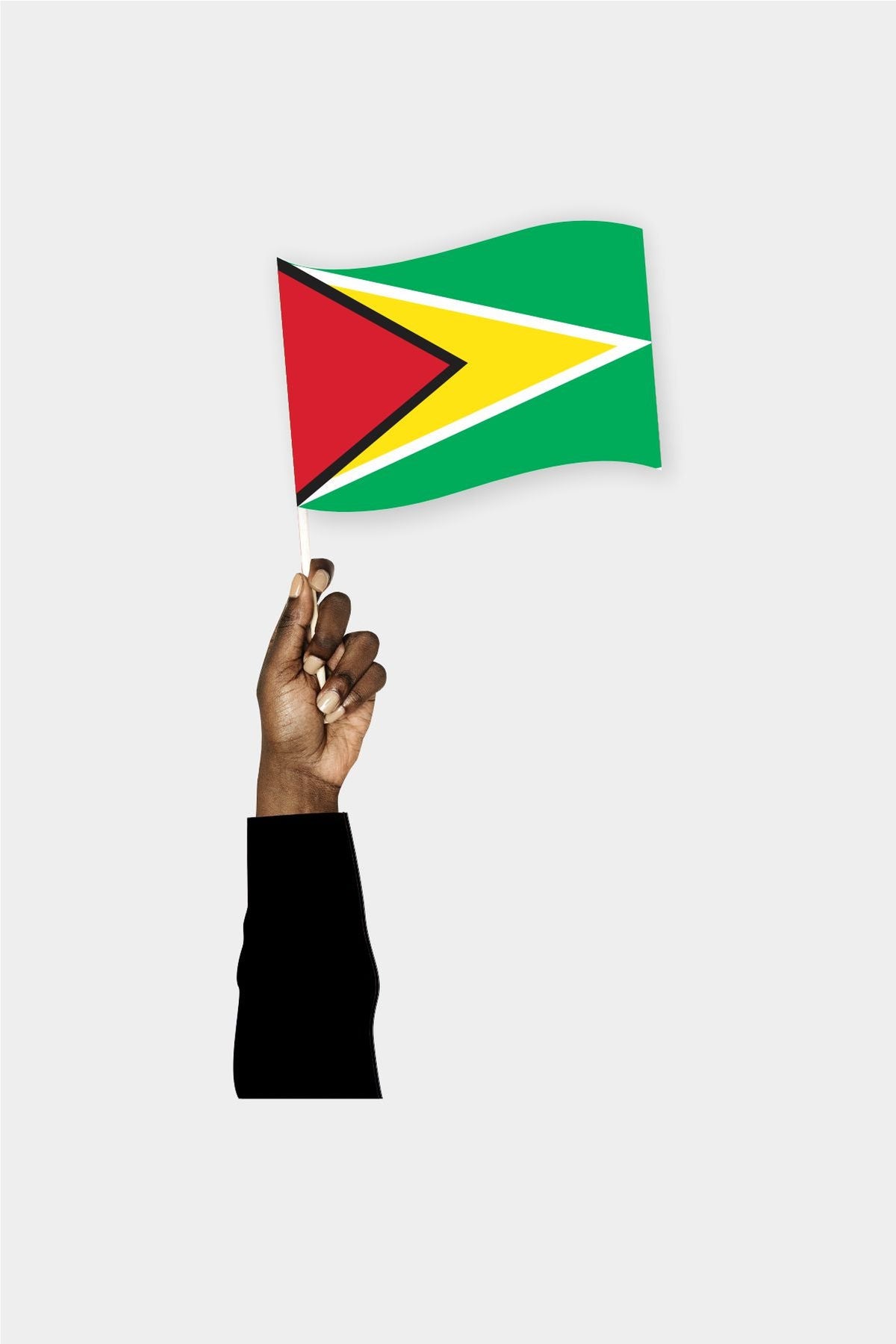 Guyana El Bayrağı