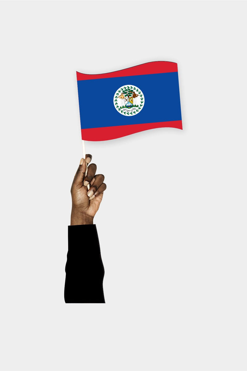 Belize El Bayrağı