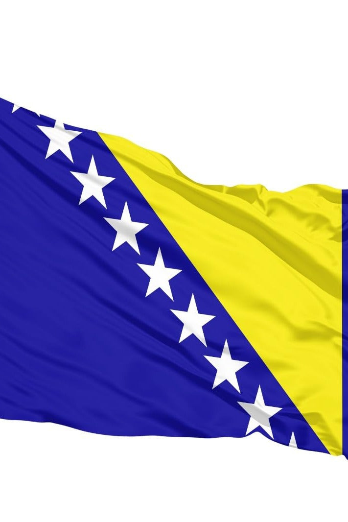 Bosna-Hersek Bayrağı detay görünümü