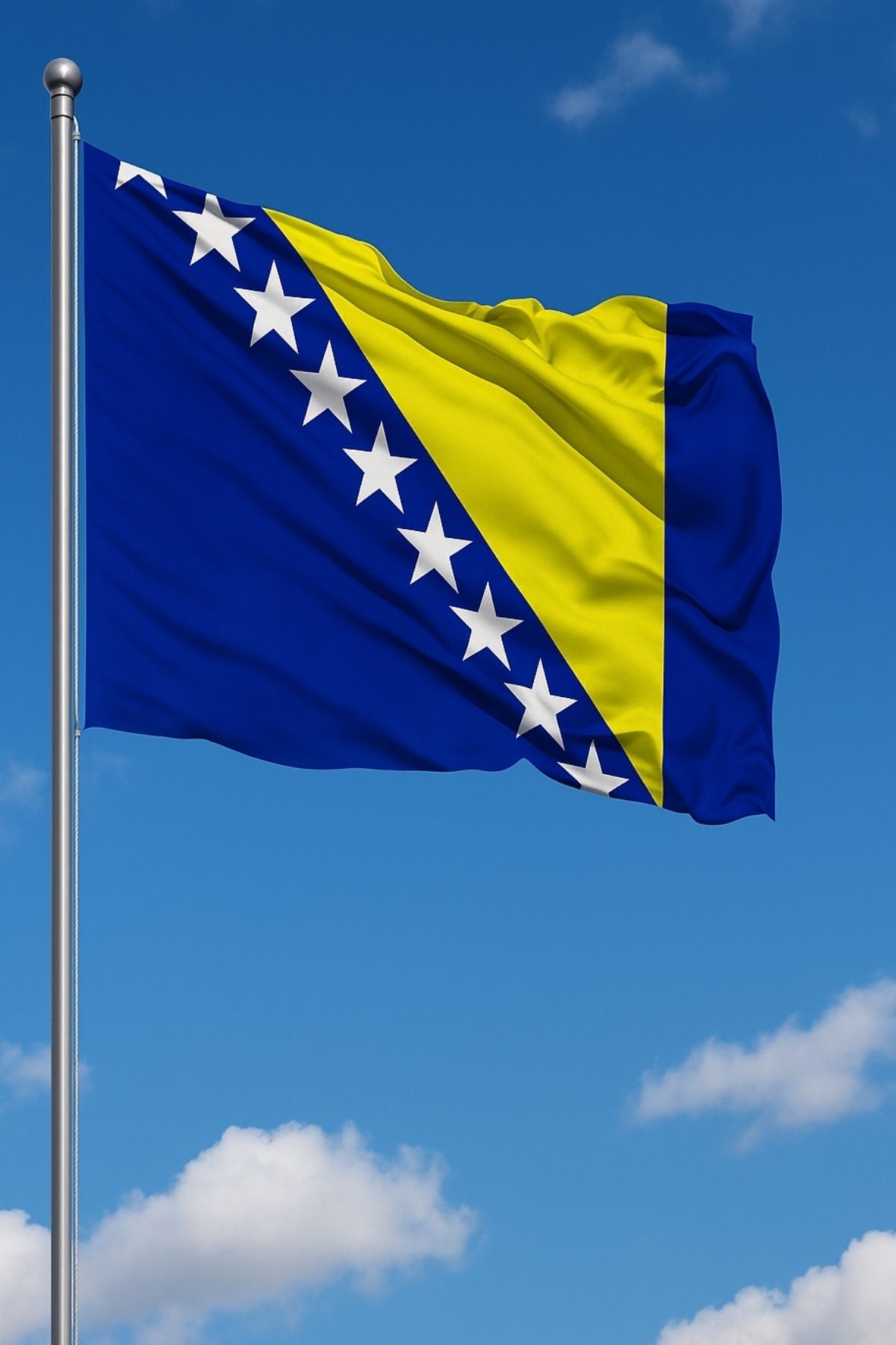 Bosna-Hersek Bayrağı kullanım örneği