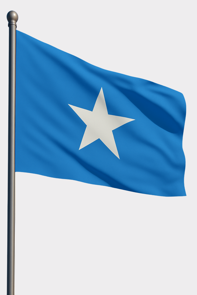 Somali Bayrağı