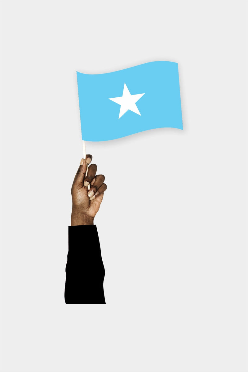 Somali El Bayrağı