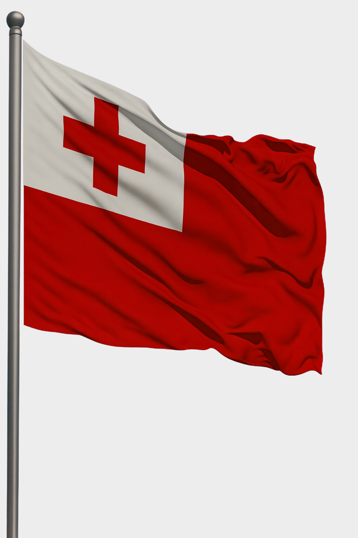 Tonga Bayrağı