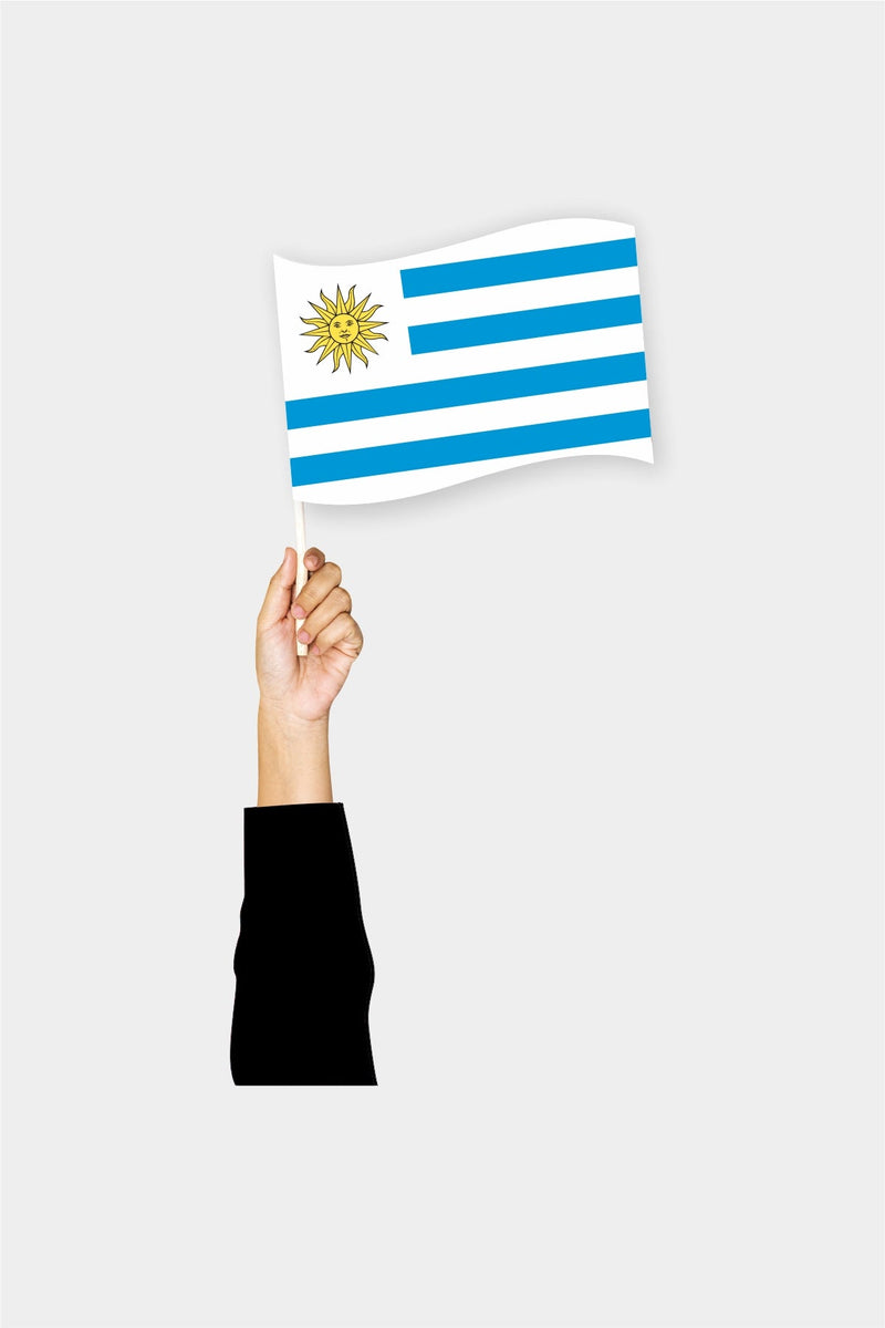 Uruguay El Bayrağı